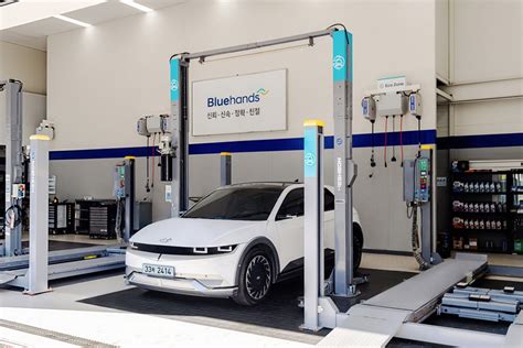1급 블루핸즈|Hyundai Motor Company Official Website .